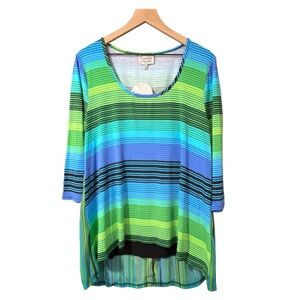 Lynn Ritchie Silver | Scoop Neck Flyaway Top Nwt